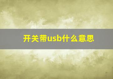 开关带usb什么意思