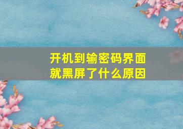 开机到输密码界面就黑屏了什么原因