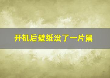 开机后壁纸没了一片黑