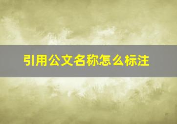 引用公文名称怎么标注