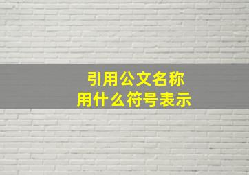 引用公文名称用什么符号表示