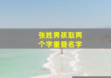 张姓男孩取两个字重叠名字