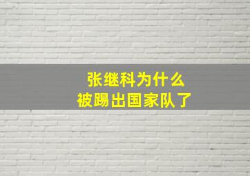 张继科为什么被踢出国家队了