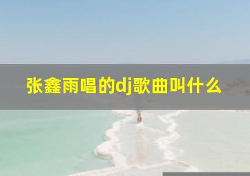 张鑫雨唱的dj歌曲叫什么