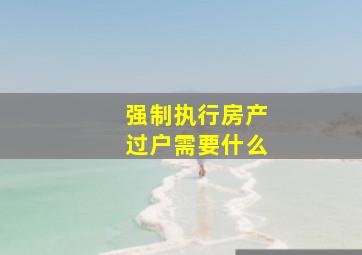 强制执行房产过户需要什么