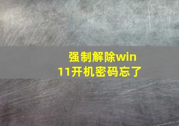 强制解除win11开机密码忘了