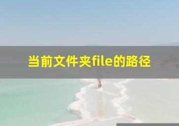 当前文件夹file的路径