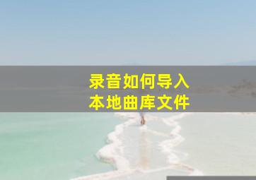 录音如何导入本地曲库文件