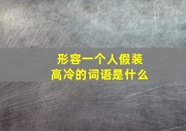 形容一个人假装高冷的词语是什么