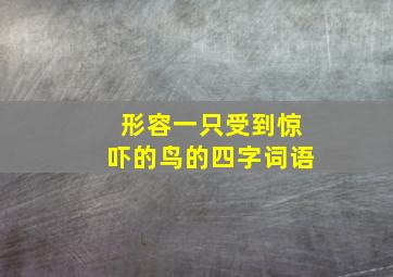 形容一只受到惊吓的鸟的四字词语