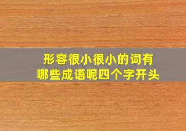 形容很小很小的词有哪些成语呢四个字开头