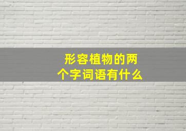 形容植物的两个字词语有什么