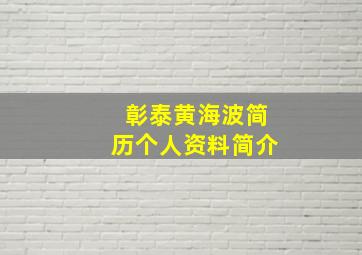 彰泰黄海波简历个人资料简介