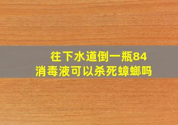 往下水道倒一瓶84消毒液可以杀死蟑螂吗