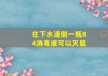 往下水道倒一瓶84消毒液可以灭鼠