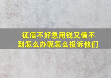 征信不好急用钱又借不到怎么办呢怎么投诉他们