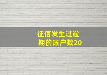 征信发生过逾期的账户数20