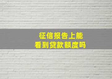 征信报告上能看到贷款额度吗