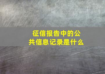 征信报告中的公共信息记录是什么