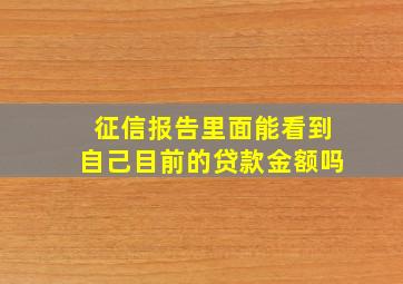 征信报告里面能看到自己目前的贷款金额吗