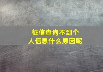 征信查询不到个人信息什么原因呢