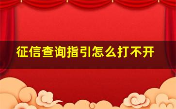 征信查询指引怎么打不开