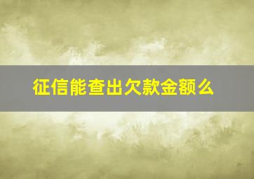 征信能查出欠款金额么