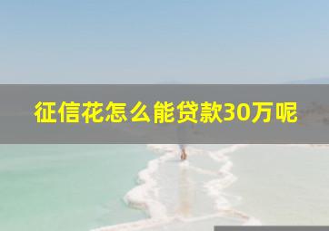 征信花怎么能贷款30万呢