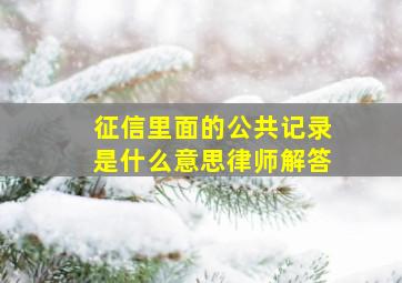 征信里面的公共记录是什么意思律师解答