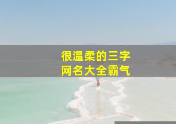 很温柔的三字网名大全霸气