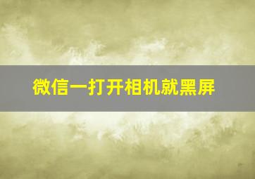 微信一打开相机就黑屏