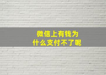 微信上有钱为什么支付不了呢