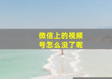 微信上的视频号怎么没了呢