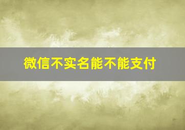 微信不实名能不能支付