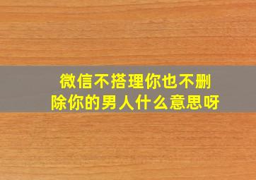 微信不搭理你也不删除你的男人什么意思呀