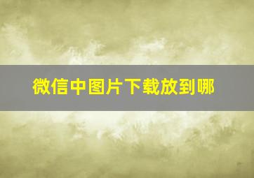 微信中图片下载放到哪