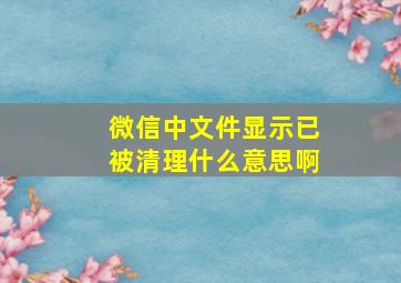 微信中文件显示已被清理什么意思啊