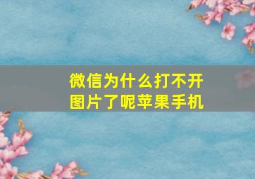 微信为什么打不开图片了呢苹果手机