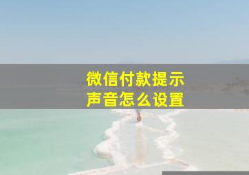 微信付款提示声音怎么设置