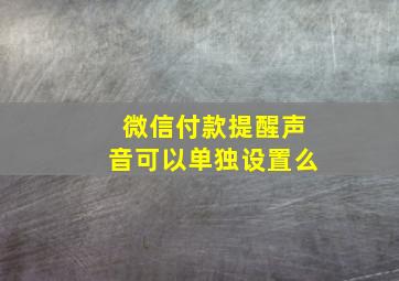 微信付款提醒声音可以单独设置么