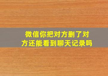 微信你把对方删了对方还能看到聊天记录吗