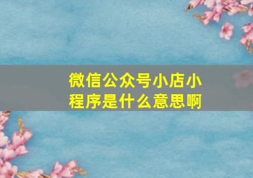 微信公众号小店小程序是什么意思啊