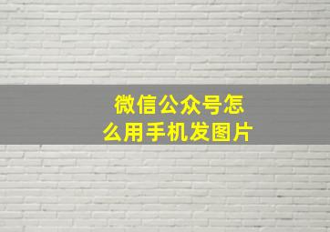 微信公众号怎么用手机发图片