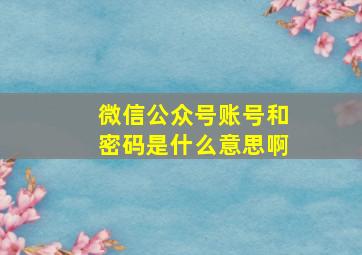 微信公众号账号和密码是什么意思啊