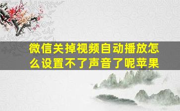 微信关掉视频自动播放怎么设置不了声音了呢苹果