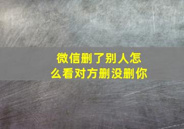 微信删了别人怎么看对方删没删你