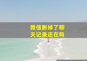 微信删掉了聊天记录还在吗