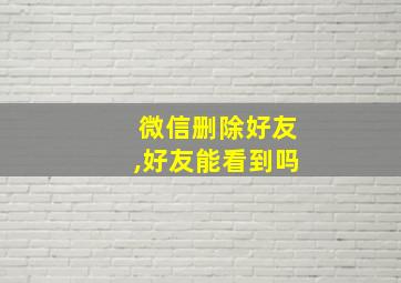 微信删除好友,好友能看到吗