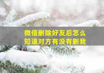 微信删除好友后怎么知道对方有没有删我