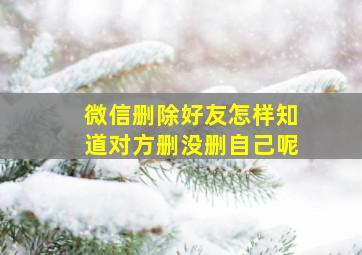 微信删除好友怎样知道对方删没删自己呢